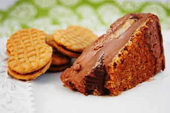 Peanut Butter Cup Ice Cream Pie