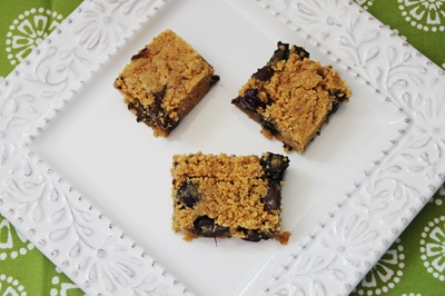 Blueberry Chocolate Chunk Peanut Butter Bars