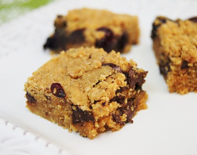 Blueberry Chocolate Chunk Peanut Butter Bars