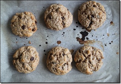 chocolate chip oatmeal scones 3