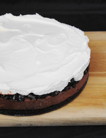 Frozen Mocha Brownie Torte 10