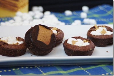 Individual-Smores-Brownies-7_thumb