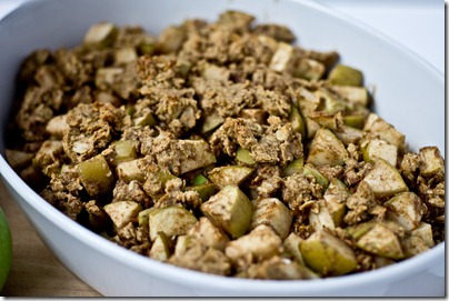 Apple and Peanut Butter Oatmeal Crumble