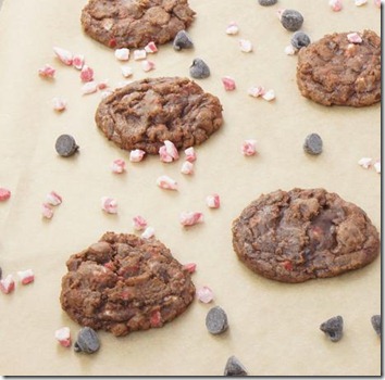 Peppermint Mocha Frappucino Cookies 6a-1