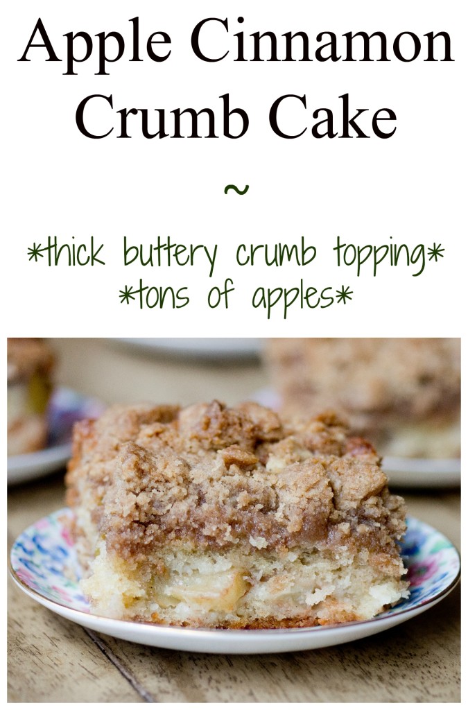 Apple Cinnamon Crumb Cake