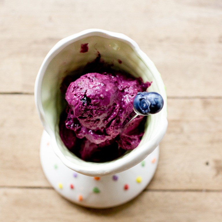 Blueberry Chocolate Chunk Frozen Yogurt