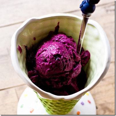Blueberry Chocolate Chunk Frozen Yogurt