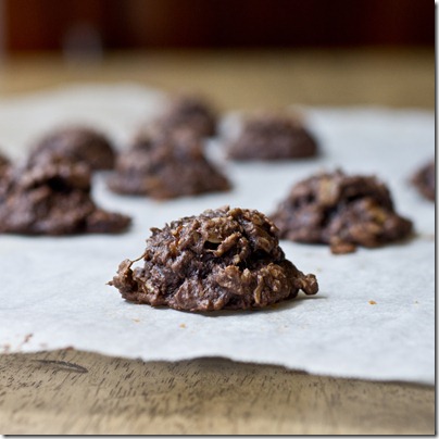 Chocolate Peanut Butter Banana Oatmeal Bites (gluten-free and vegan)