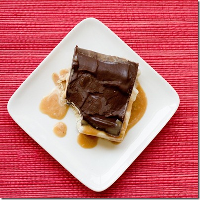 Salted Caramel & Chocolate Chip Cookie Dough Ice Cream Bars