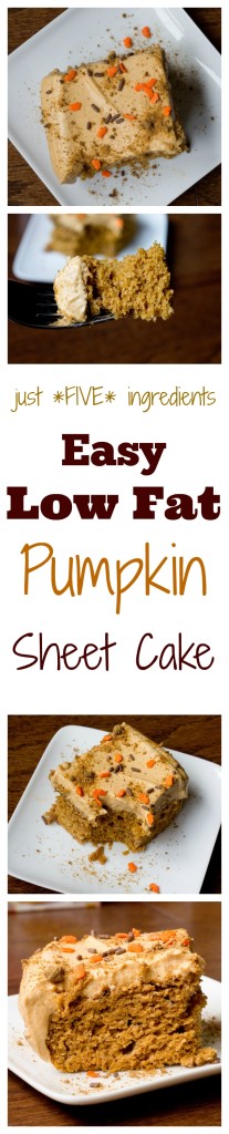 The Easiest Pumpkin Cake