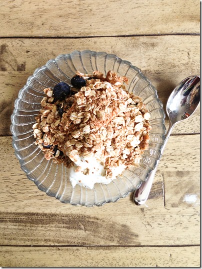 Vegan & Gluten-Free Peanut Butter and Fig Granola