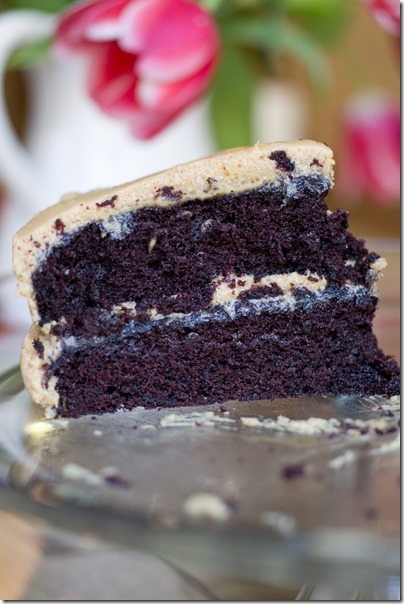 Extra Dark Chocolate Cake with Cookie Butter Buttercream