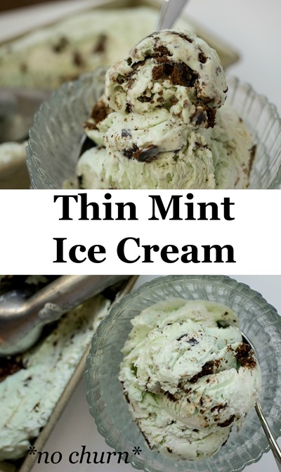 Thin Mint Ice Cream <- love
