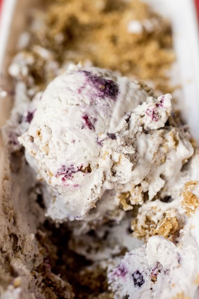 No Churn Blueberry Crisp Ice Cream was probably the best ice cream of 2015