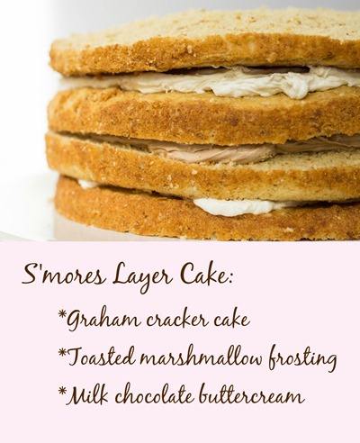 s'mores in cake form OMG this was a huge hit