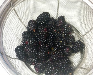 blackberries