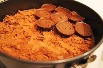 layer peanut butter cups