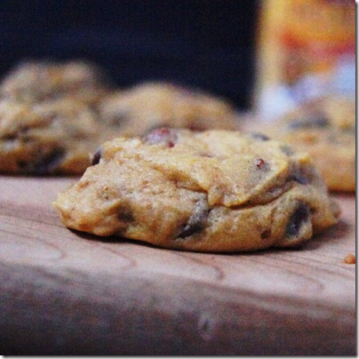 Cinnamon & Chocolate Chip Pumpkin Cookies 11