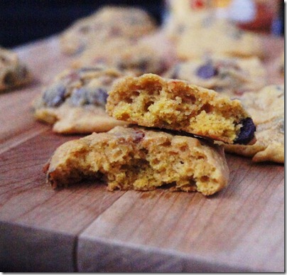 Cinnamon & Chocolate Chip Pumpkin Cookies 19