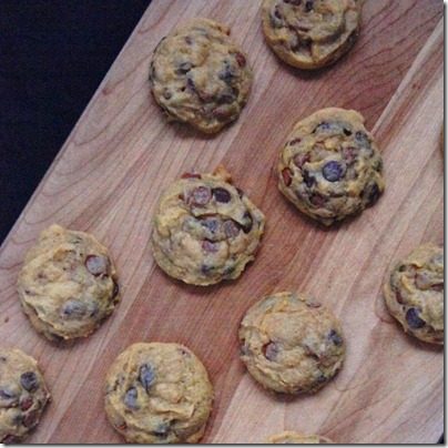 Cinnamon & Chocolate Chip Pumpkin Cookies 3