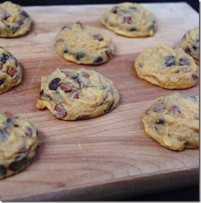 Cinnamon & Chocolate Chip Pumpkin Cookies 7