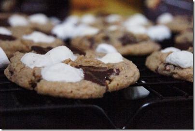 Grown Up Smores Cookies 23