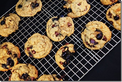 Chocolate Chip Blueberry Peanut Butter Cookies