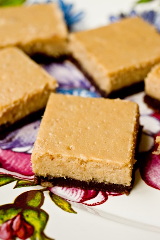 Funky Monkey Cheesecake bars