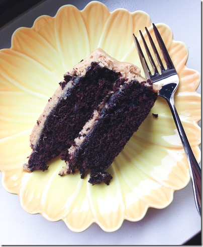 Extra Dark Chocolate Cake with Cookie Butter Buttercream 11