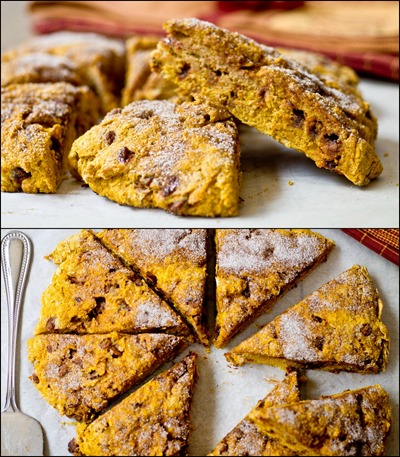 Cinnamon Chip Whole Wheat Pumpkin Scones - an easy to make fall brunch treat