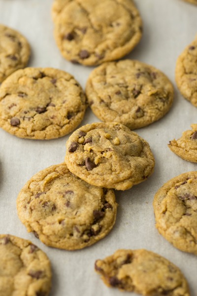 CHEWY mini pumpkin chocolate chip cookies