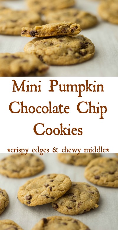 Mini Pumpkin Chocolate Chip Cookies!!!!!