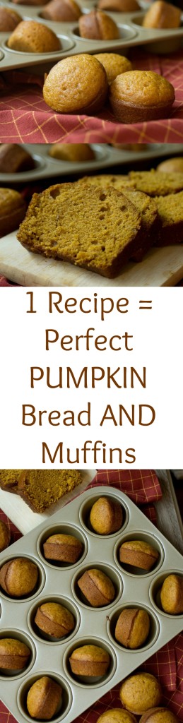 Pumpkin bread and pumpkin muffins, what could be better?