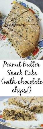 Peanut Butter Snack Cake - perfect all day long!