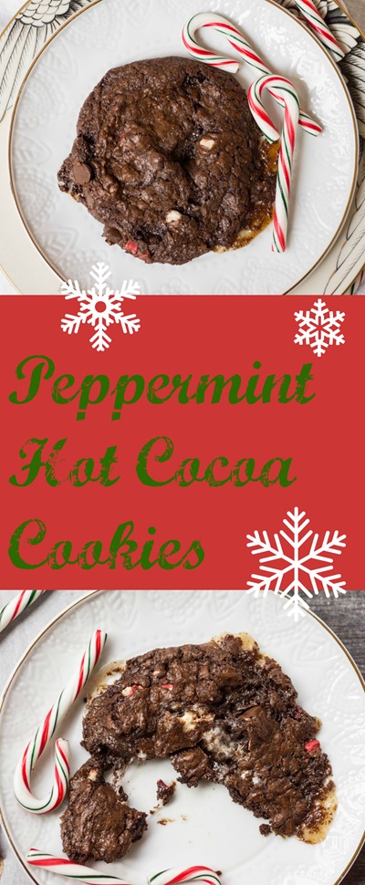 New favorite Christmas cookie: Peppermint Hot Cocoa!!!