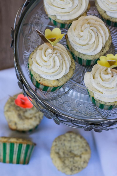 The best recipe for lemon poppy seed cupcakes! 