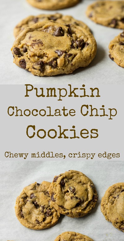 Perfect pumpkin cookies! These pumpkin chocolate chip cookies are chewy in the middle and crispy around the edges.